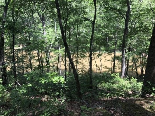 0 Mandy Drive, Wedowee, AL 36278
